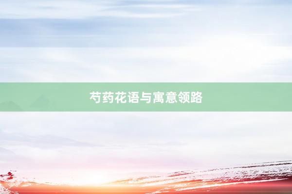 芍药花语与寓意领路