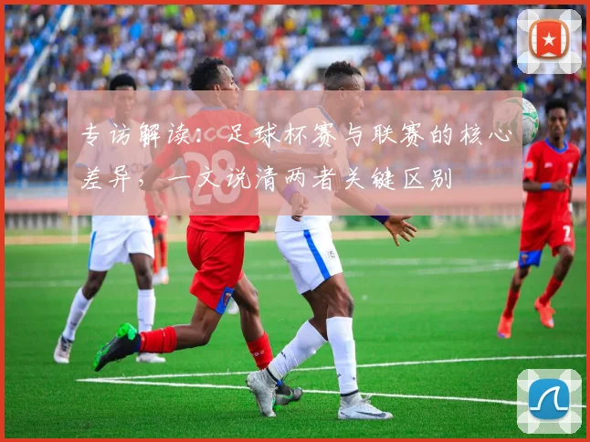 专访解读:足球杯赛与联赛的核心差异,一文说清两者关键区别